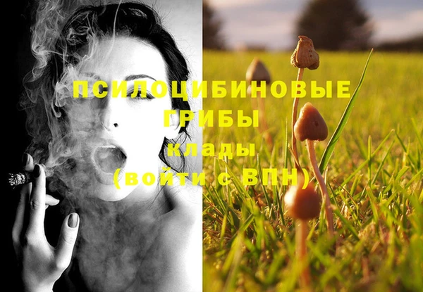 соль курить ск Дубна