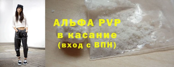 ГАЛЛЮЦИНОГЕННЫЕ ГРИБЫ Осинники