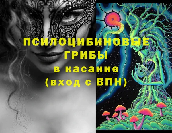 ГАЛЛЮЦИНОГЕННЫЕ ГРИБЫ Осинники