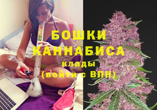 ГАЛЛЮЦИНОГЕННЫЕ ГРИБЫ Осинники
