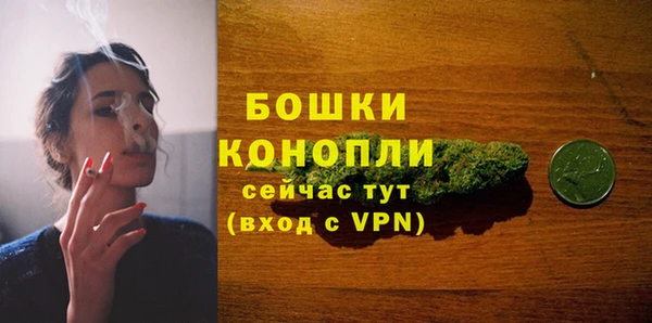 МДПВ Осташков