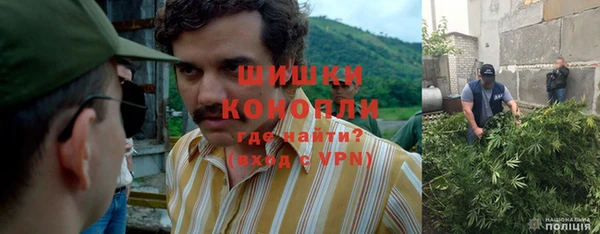 МДПВ Осташков