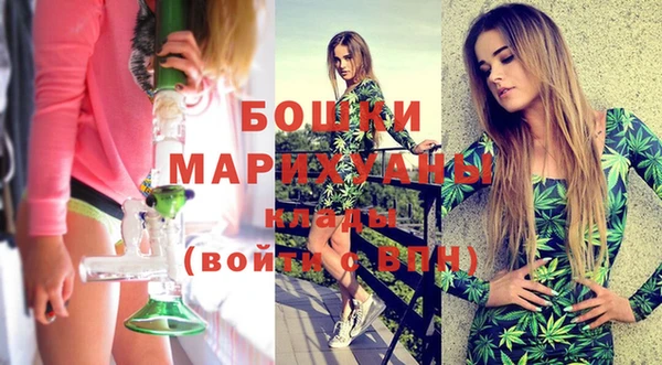 ГАЛЛЮЦИНОГЕННЫЕ ГРИБЫ Осинники